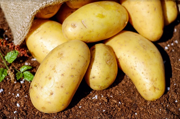 A vitaminok közül C-vitamin, de a B vitamin csoportba tartozók is megtalálhatók a burgonyában