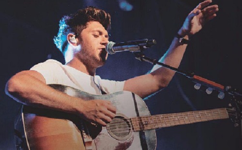 Niall Horan titokban szerelmes volt?