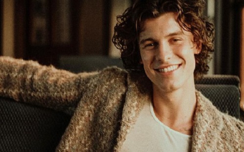 Shawn Mendes elsőre beleszeretett Camila Cabello-ba