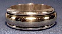 Mexican Silver Source 4.